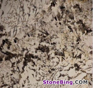 Tropical Treasure Granite Tile