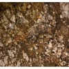 Carnaval Granite Tile