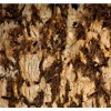 Splendour Granite Tile