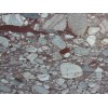 Palladio Light Granite Tile