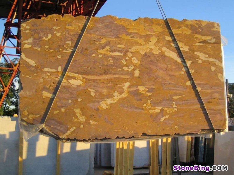 Jurassic Gold Marble Slab