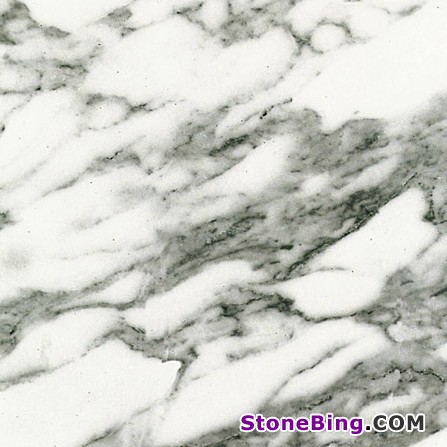 Arabescato Corchia Marble Tile