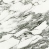 Arabescato Corchia Marble Tile