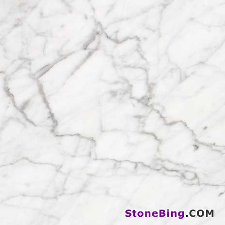 Bianco Gioia Venatino Marble Tile