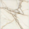 Calacatta Oro Marble Tile