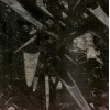 Fossile Nero Marble Tile