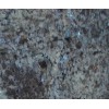 Blue Shada Granite