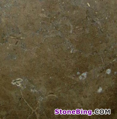 Brown Storm Marble Tile