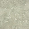 Seagrass Limestone Tile