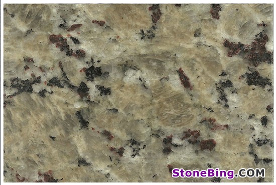Beige Butterfly Granite Slab