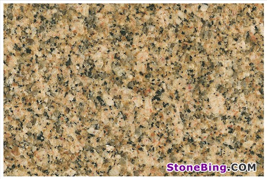 Carioca Gold Granite Slab