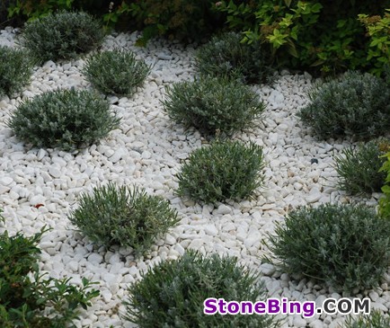 Bianco Anticato Pebbles