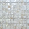 White Shell Mosaic 005