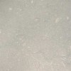 Sea Grass Limestone Tile