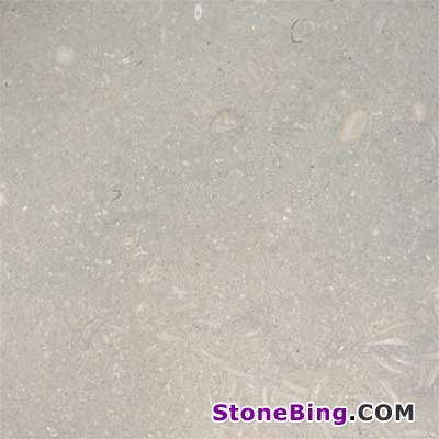 Sea Grass Limestone Tile