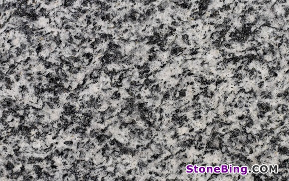Serizzo Antigorio Granite Tile