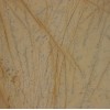 Amarillo Triana Marble Tile