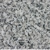 Blanco Castilla Granite Tile