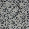 Grisal Granite Tile