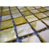 Yellow Shell Mosaic YJ-A029