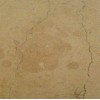 Bronzetto Marble