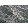 Silver Grey Slate Tile