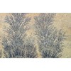 Fossil Sandstone Tile