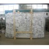 Arabescato Extra Vagli Marble