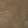 Chocolate Shell Limestone Tile