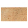 Sivakashi Gold Granite Tile