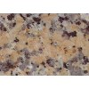 Rosa Pomino Granite Tile