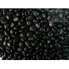 Black Pebbles