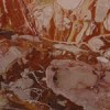 Breccia Pontificia Marble Tile