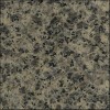 Leopard Skin Granite