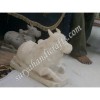 Indian Marble Cow