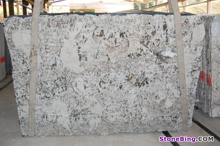 Bianco Venus Granite Slab
