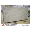 Andromeda Granite Slab