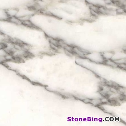 Arabescato Vagli Marble Tile