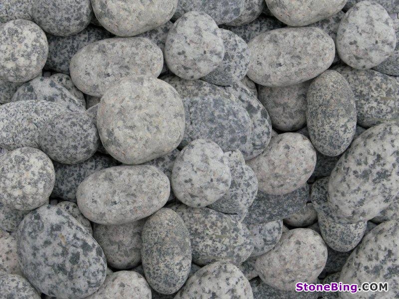Quail Pebbles
