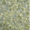 Green Pebbles Mosaic SP5