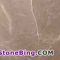 Vinalesa Brown Marble Tile