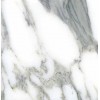 Arabescato Corchia Marble