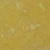 Amarelo Negrais Marble Tile