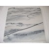 Pele de Tigre Marble Tile