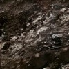 Atacama Black Tile