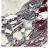 Matthiola Incana marble