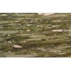 Fashion Green Granite