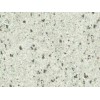 Regina White Granite Slab