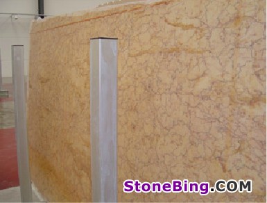 Diana Mixed Marble Slab