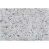 Light Ornamental Granite